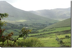 DSC05207