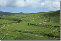 DSC05230
